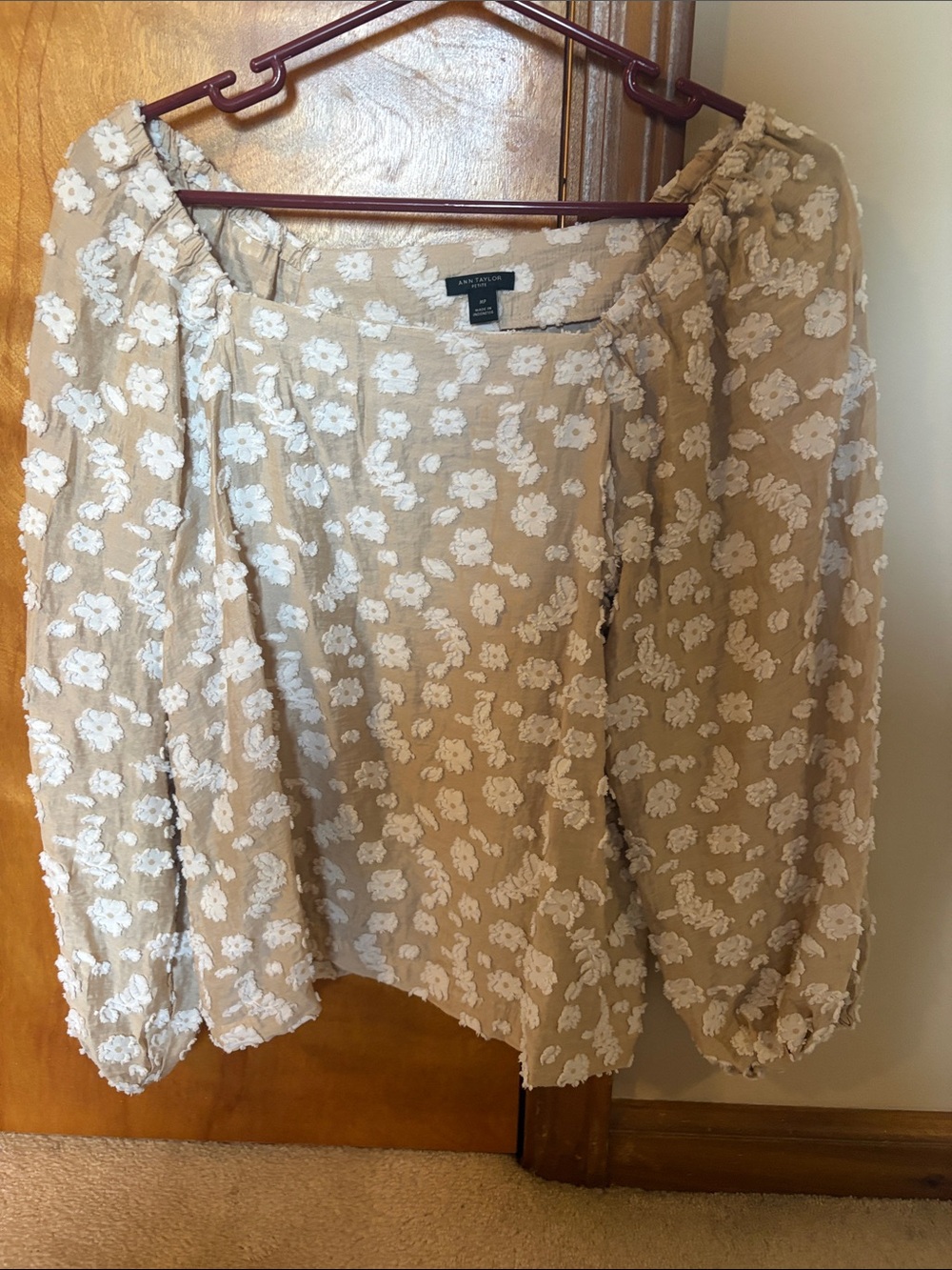 Ann Taylor Beige Blouse with White Floral Embroidery